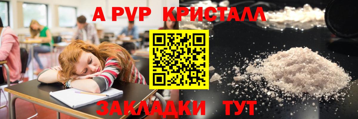 Альфа ПВП СК КРИС Надым